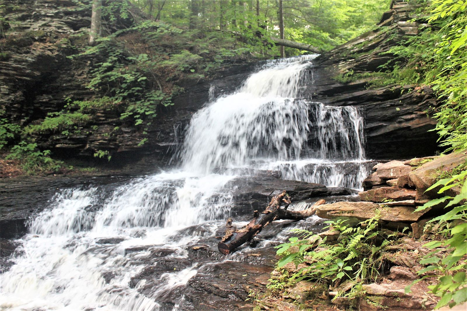 Onondaga Falls on the Highland Trail at Ricketts Glen