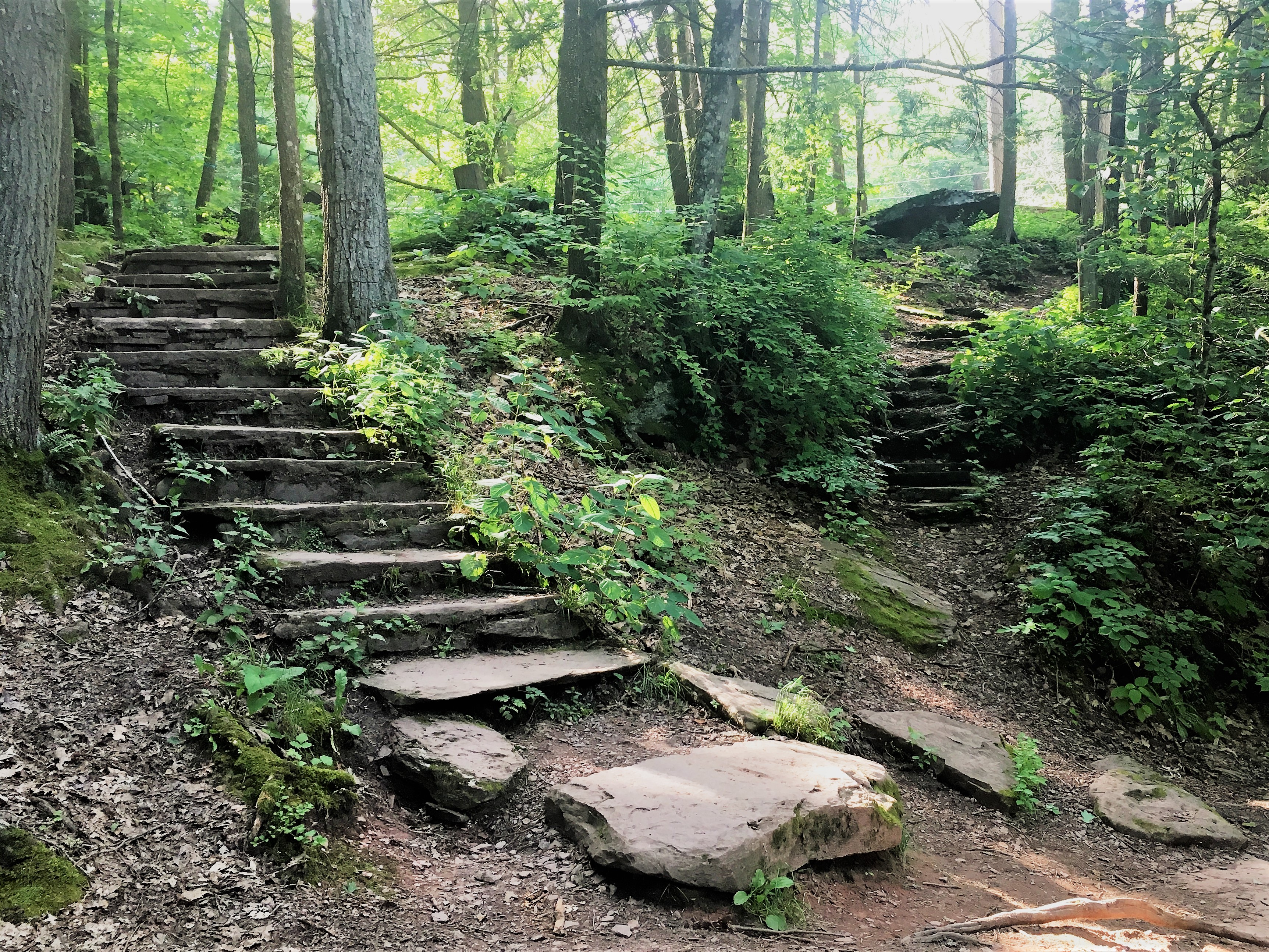 Staircase along tge trail at Ricketts Glen