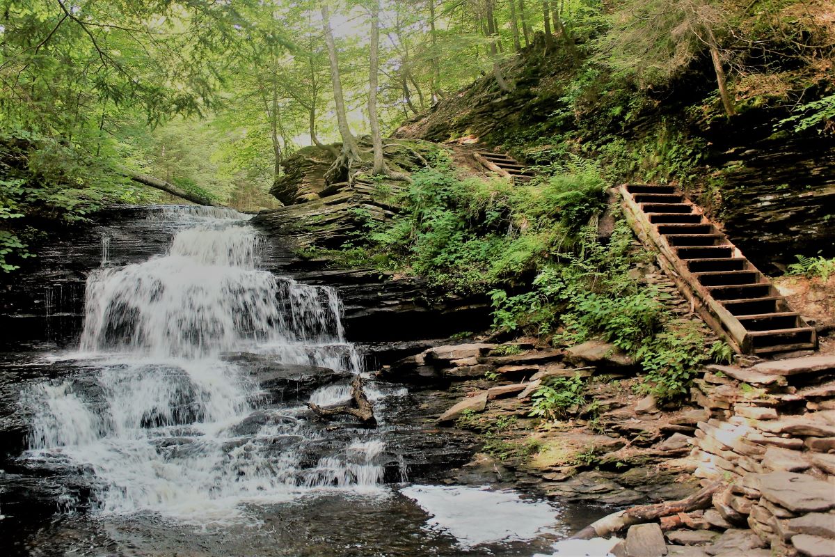 Ricketts Glen State Park Waterfall with stairs to the right and ferns and trees all around.