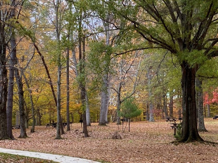 Picnic area at Prince William Park in Virginia