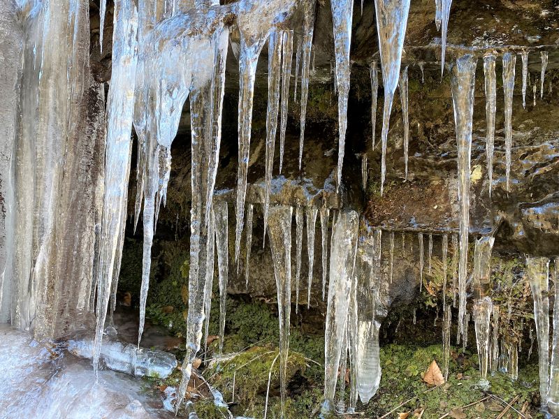 A wall  of icicles hanging from a rock ledge.