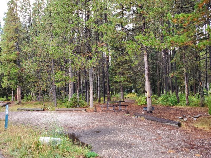 colter bay has pull through campsites for families