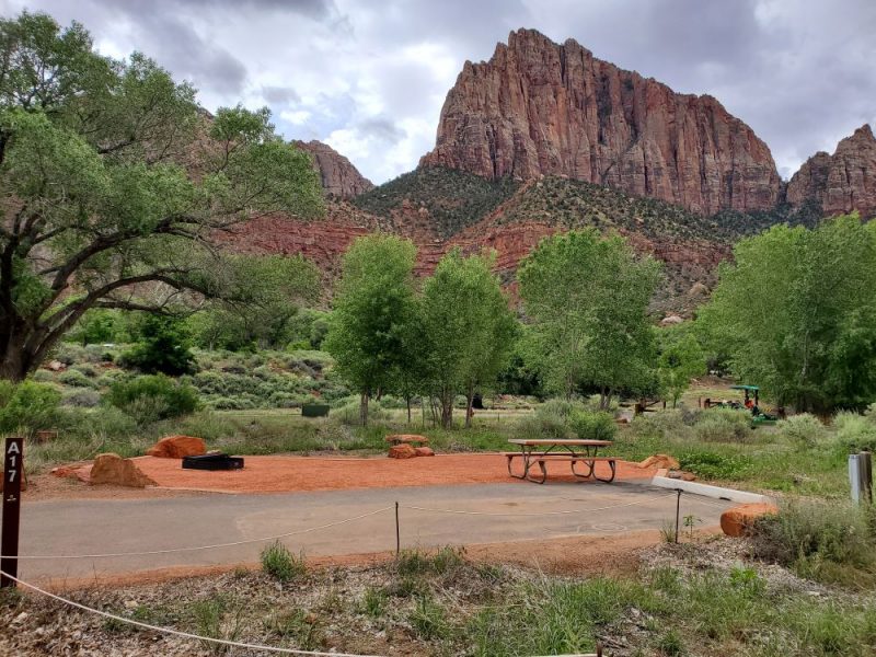 watchman at zion is one of the best family campgrounds in the country