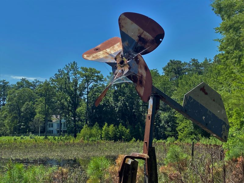 Weathervane at Carvers Creek State Park