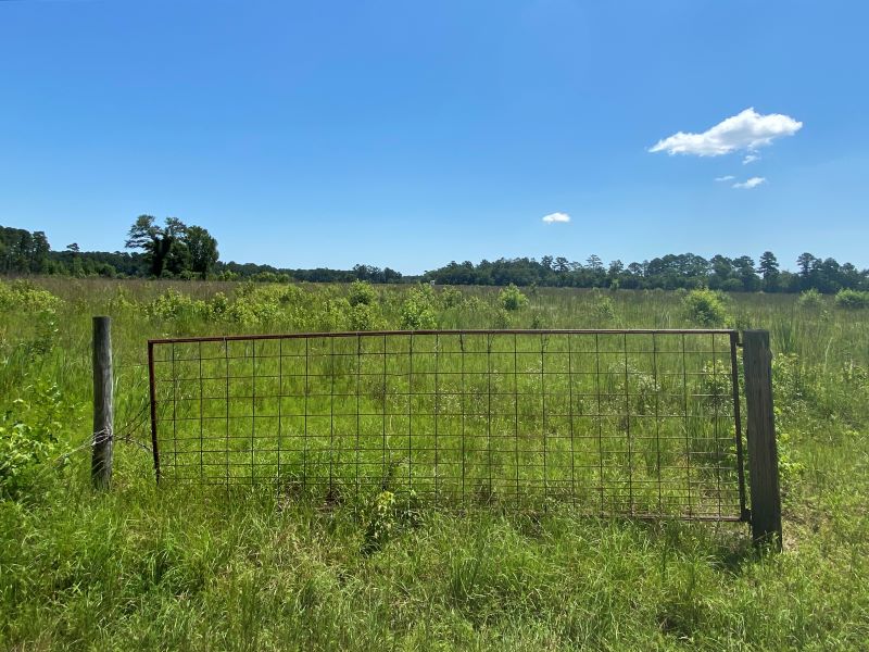 Fence at Carvers Creek State Park