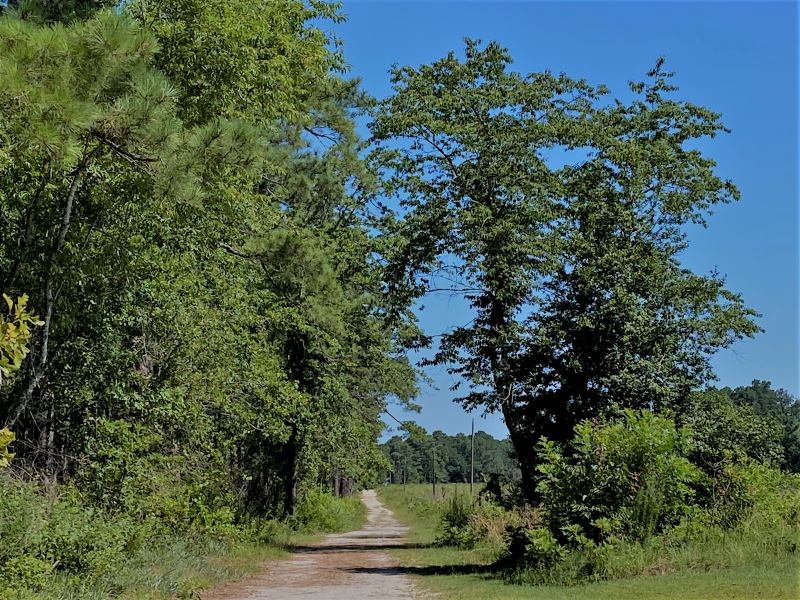 Sandy trail at Carvers Creek State Park leads visitors to the James Stillwell Rockefeller home