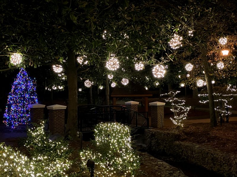 White lights decorate trees at Mineral Spring Park in Fuquay-Varina, NC