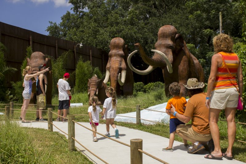 Adults and kids walking on a path at Dinosaur World, looking at the dinosaurs.