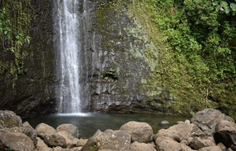 Manoa Falls is one of the best attractions in Oahu.
