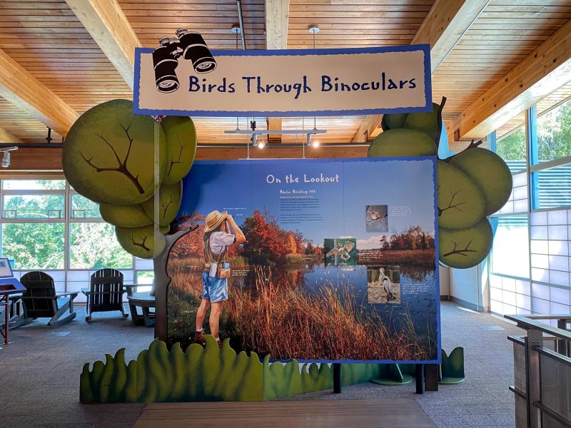 Tom Ridge Environmental Center TREC birding display is a must see when you visit Erie PA
