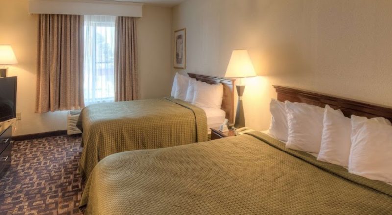Best Western Hotel on Carowinds Blvd, one of the best value hotels near Carowinds. Shows layout of a double room with two beds in shades of brown and gold.