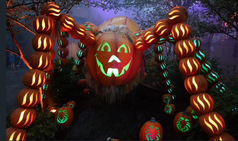One of the pumpkin displays at Dollywood Great Pumpkin LmiNights, a friendly Halloween festival