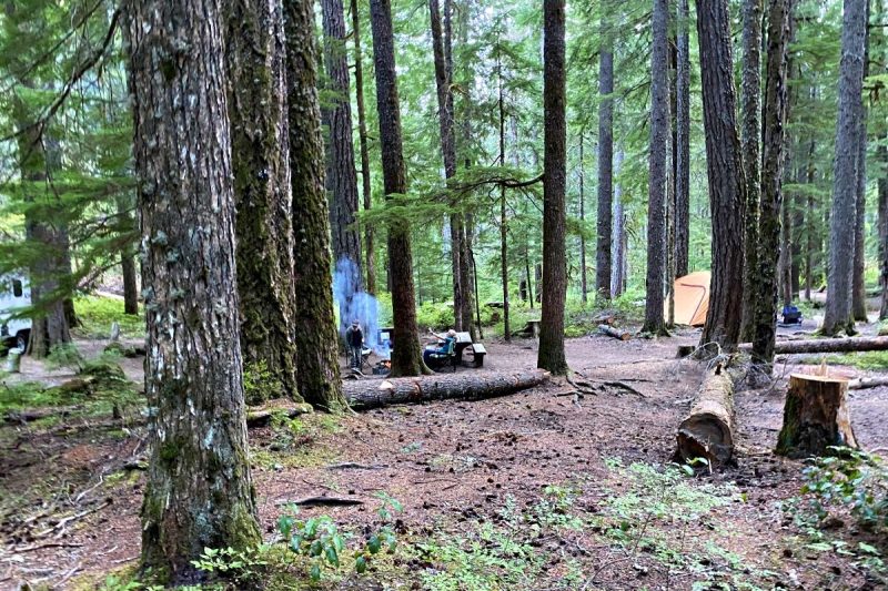 Campsites showing trees, orange tent, campfire smoke in old growth forest at Ohanapekosh Campground in Washington