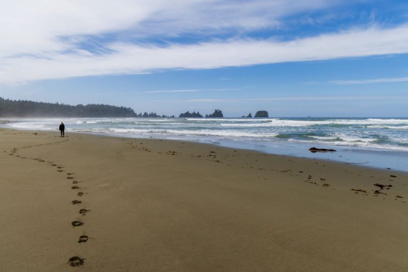 footprints in the sand at Shi Shi Beach in Washington. In the distance is the silhouette of a person looking out at the waves, blue sky with clouds above.
