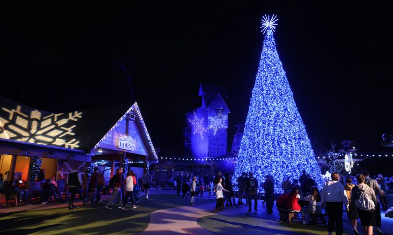 Blue Christmas Tree and Christmas lodge at Dollywood's Smoky Mountain Christmas event with crowds mingling.
