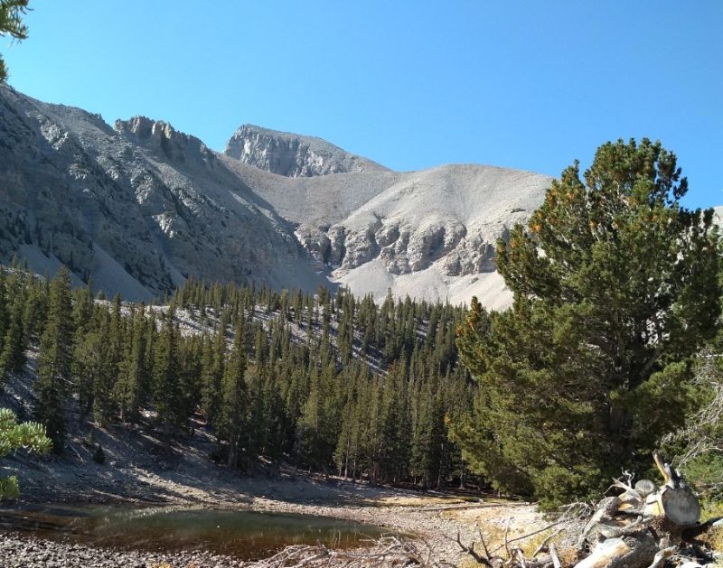 Wheeler Peak in Nevada, great camping ideas for families who want adventure travel
