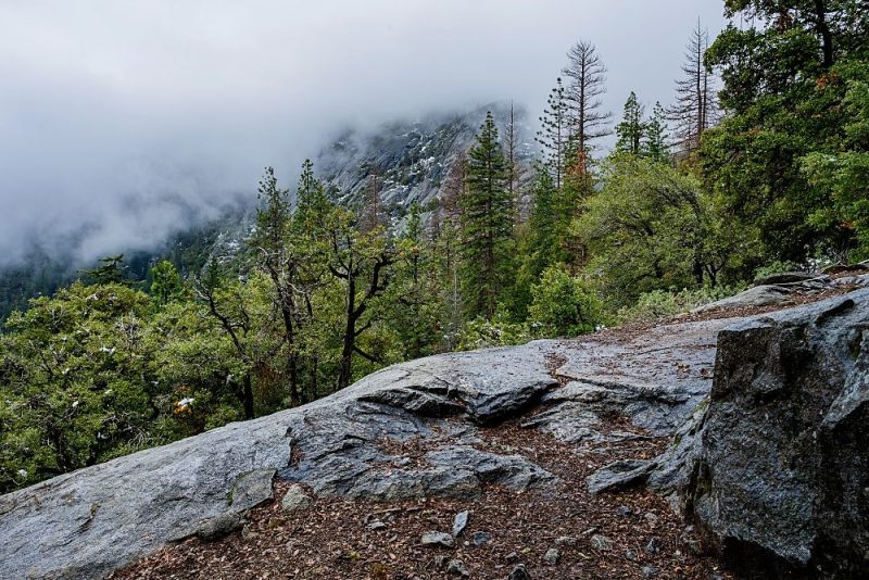 Wawona Campground at Yosemite National Park is a great family campground