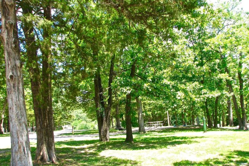 Treed campsite at Table Rock State Park in Missouri, a family friendly campground near Branson
