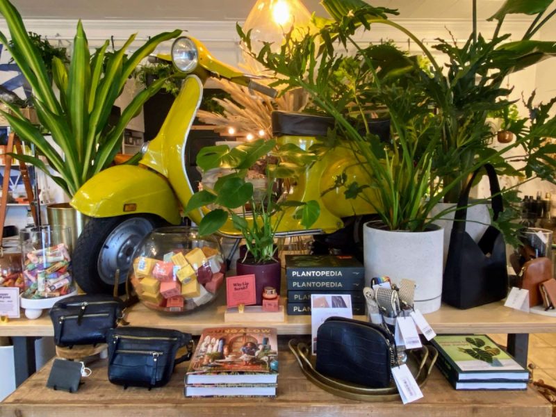 Some of the gifts and plants for sale at Botanical Dwellings in Culpeper, VA with yellow vespa behind.