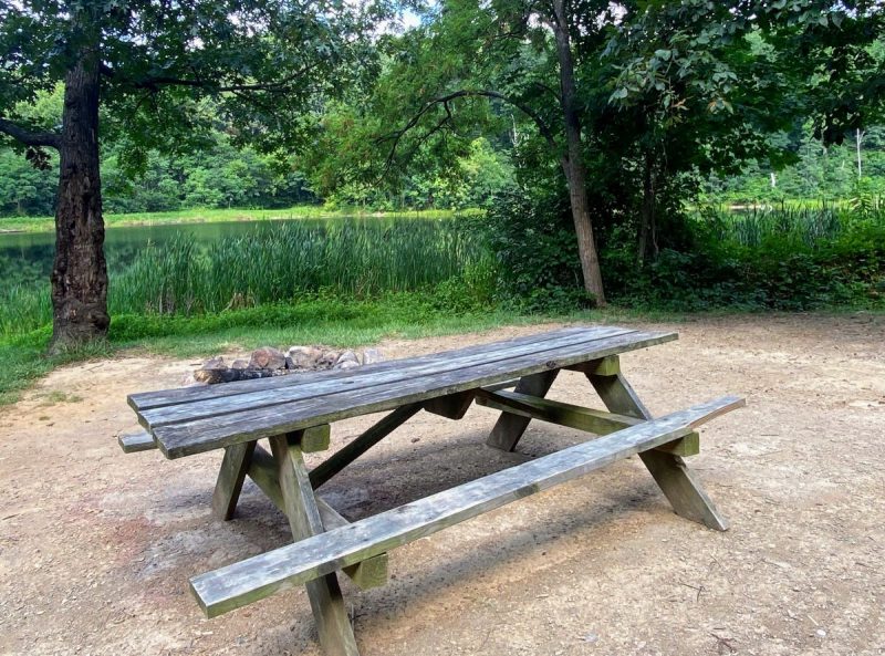 Picnic table and fire pit on gravel parking pad lakeside at The Cove Campground in the Virginia mountains