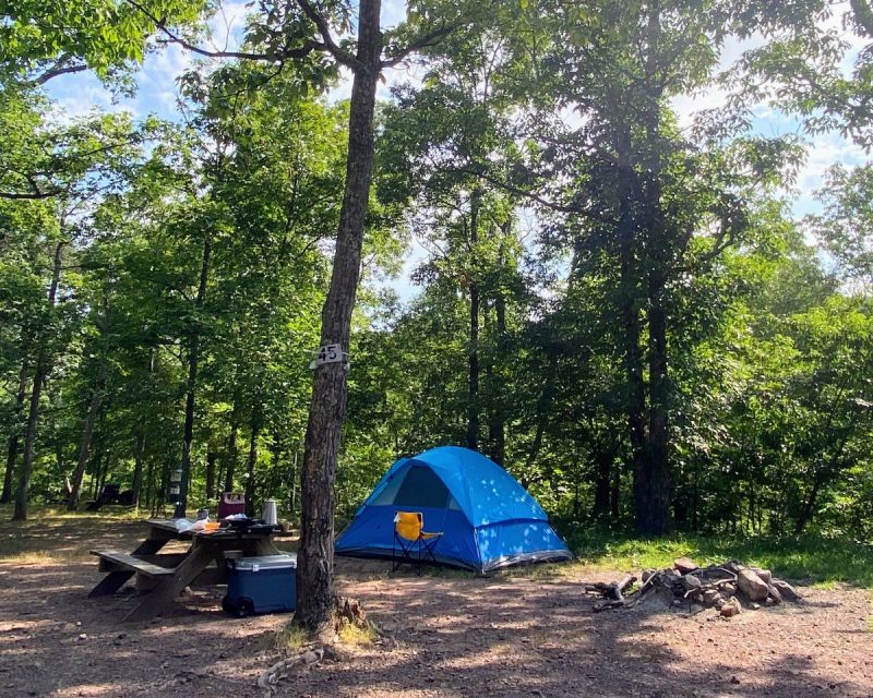 Blue tent with orange camp chair, picnic table with camp items, and fire pit among the trees in Gore, VA