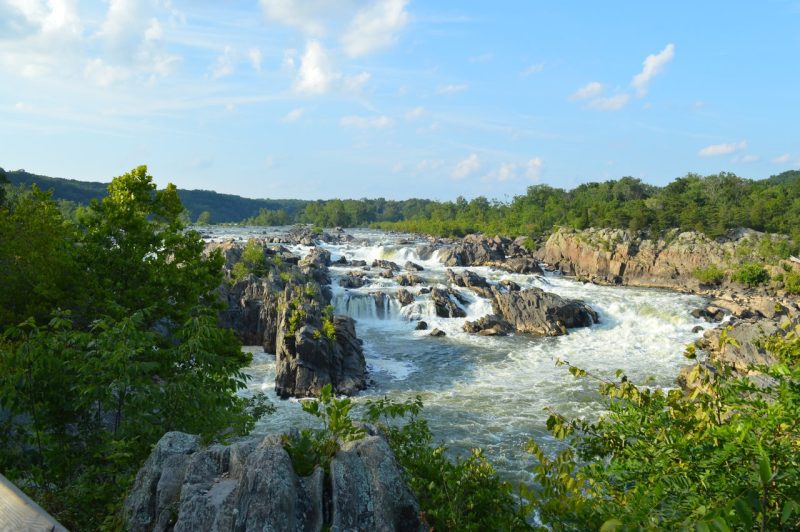 Whitewater rapids on the Potomac River at Great Falls Park. Image shows the rocky river, trees along the edge and blue sky above