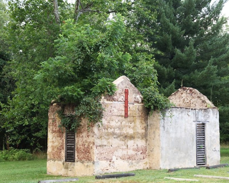 Red Rock Wilderness Overlook Park in Leesburg, VA has a number of ruins onsite, like this stone building with a tree growing from the center