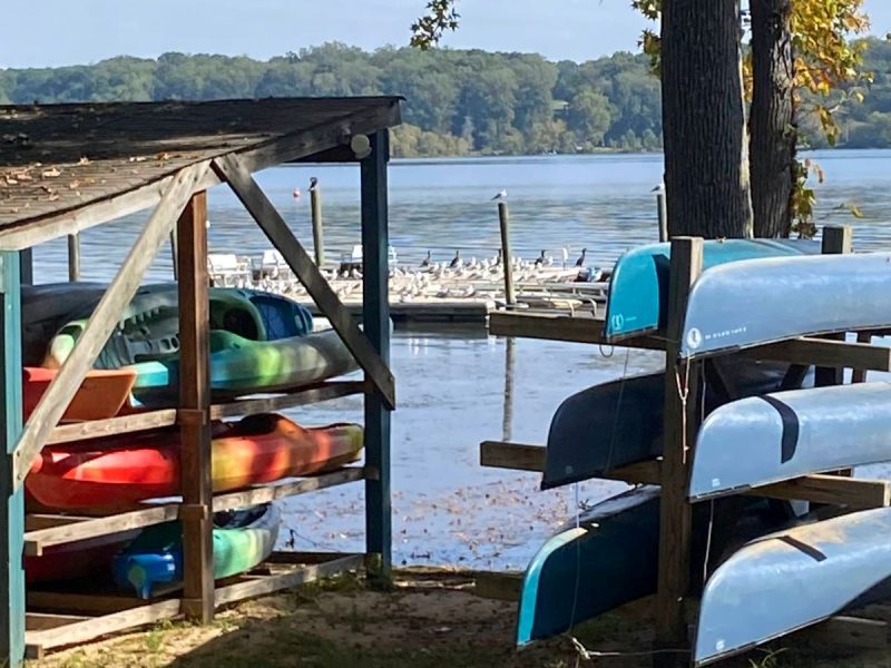 Kayaks at Mason Neck peninsula with the Potomac River in background and birds on the dock.