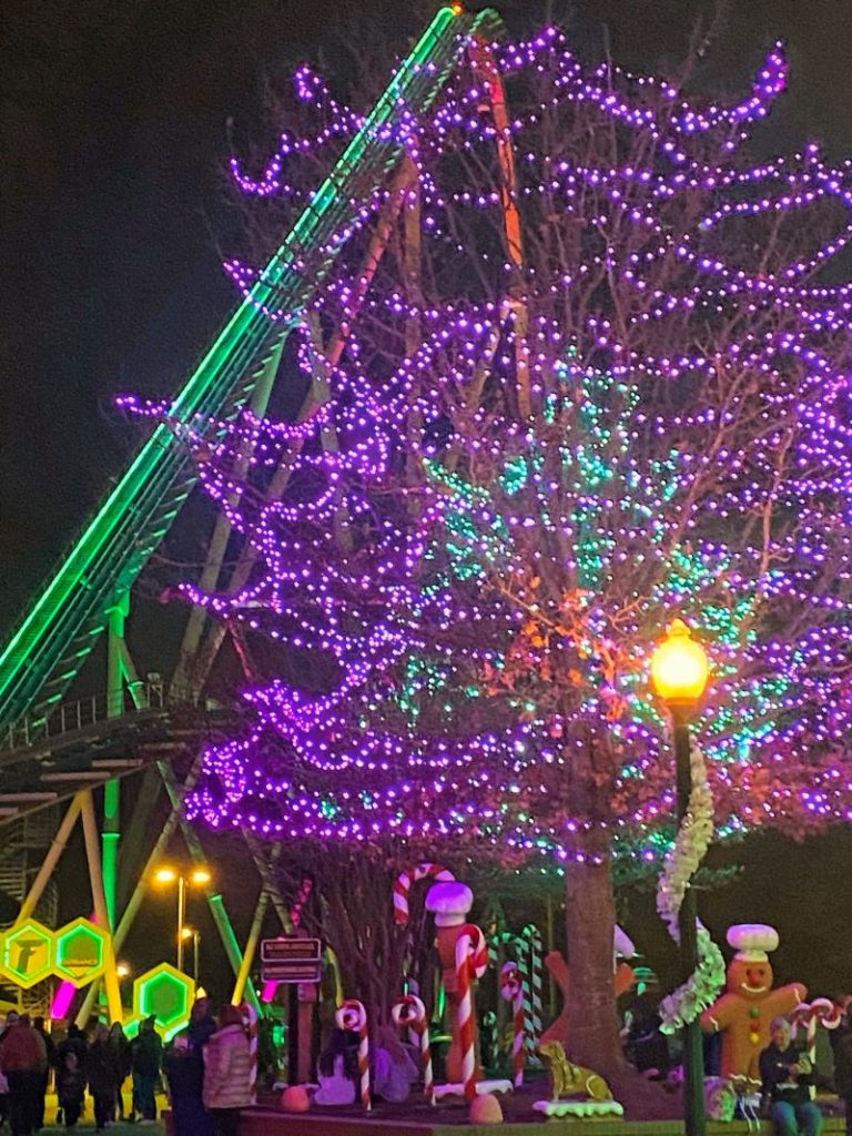LIghts and decorations in front of Fury 325, includes candy canes, gingerbread men, and trees draped in purple and green holiday lights