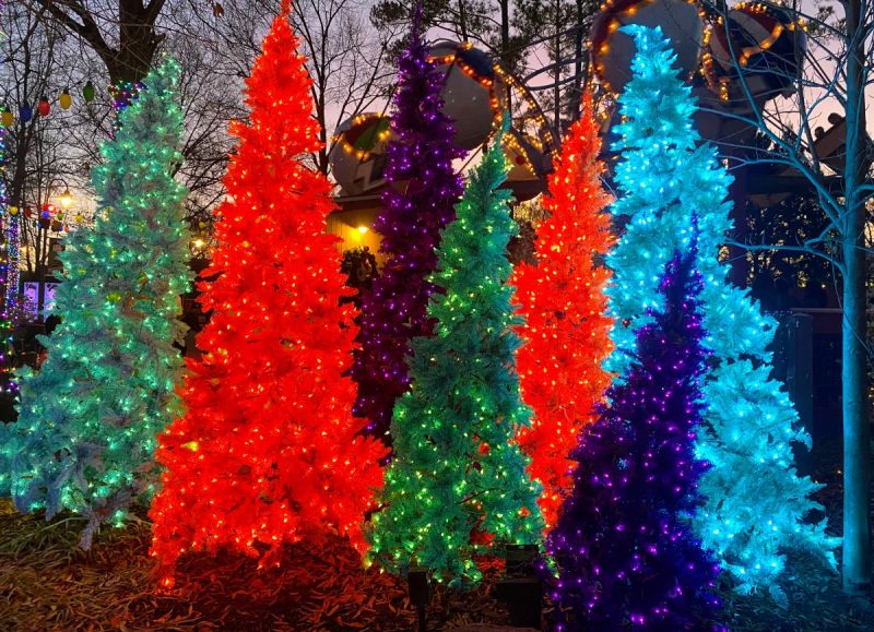 Christmas tree forest at WinterFest with lighted trees in green, purple, blue and red