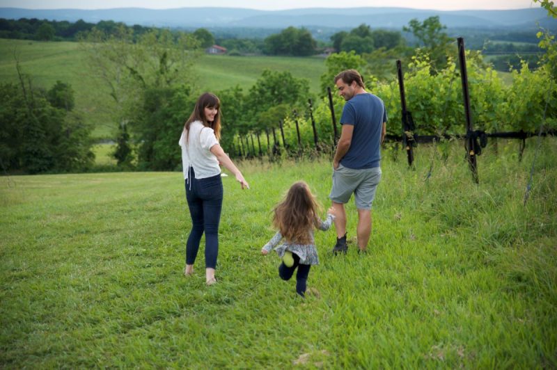 Family friendly winery in the Virginia mountains.