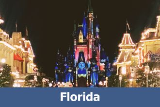Magic Kingdom Castle lit up at night at Disney World in Florida