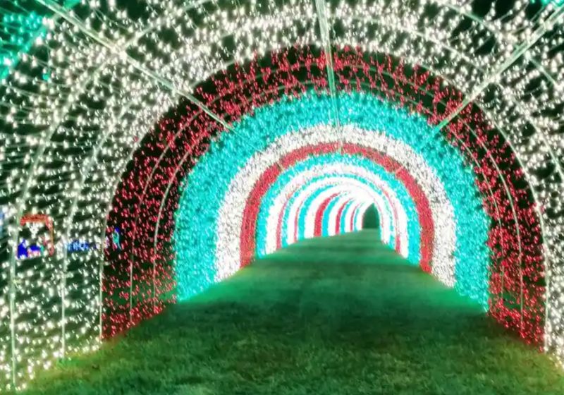 Drive through holiday lights in Raleigh