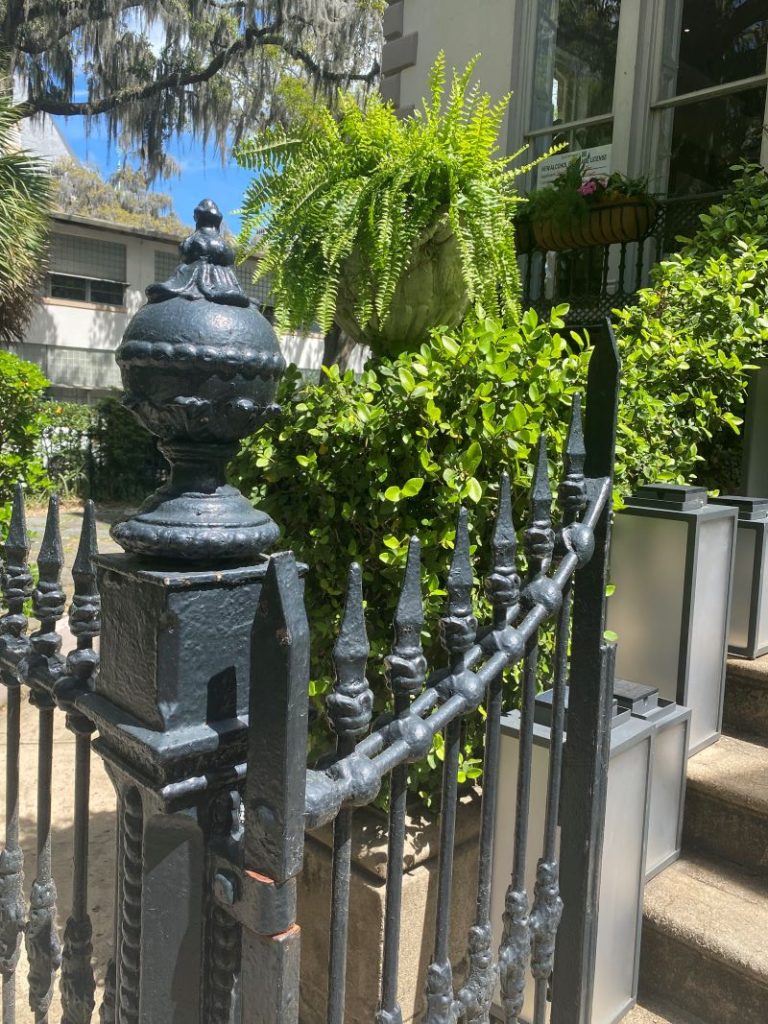 Black wrought iron garden fence with ferns and greenery behind