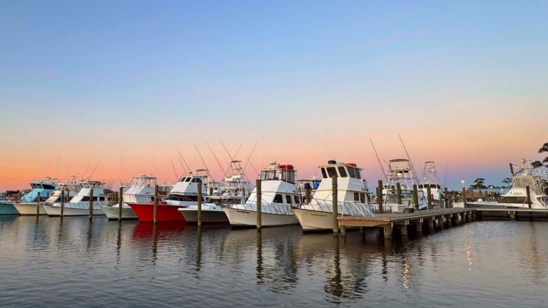 Best things to do in Gulf Shores Alabama