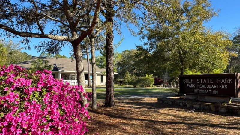 Gulf State Park headquarters and information center with pink blooming azalea out front.