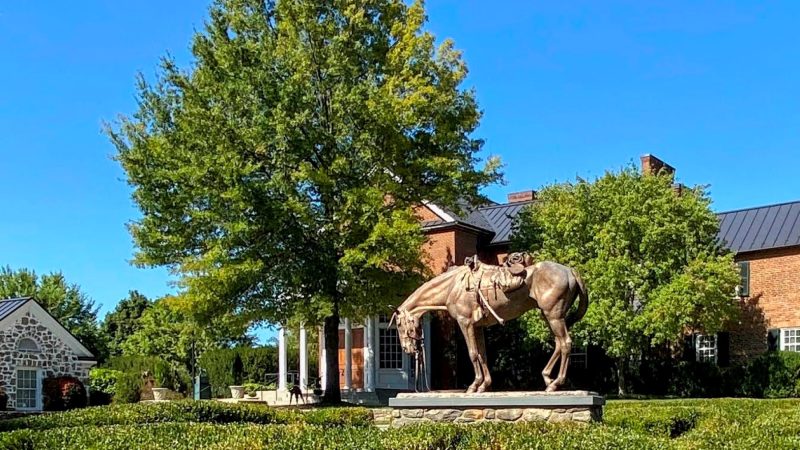 Horse statue in front of the National Sporting Library and Museum in Middleburg, VA.