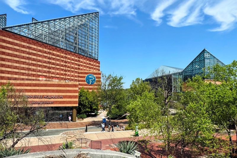 Tennessee Aquarium with River Country building in foreground.