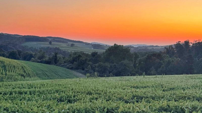 Farmland of the Susquehanna River Valley in the foreground with rolling hills and orange and yellow hues of sunset behind.