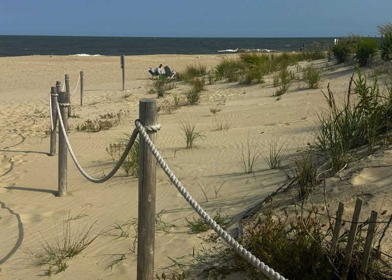 The best things to do in Rehoboth Beach