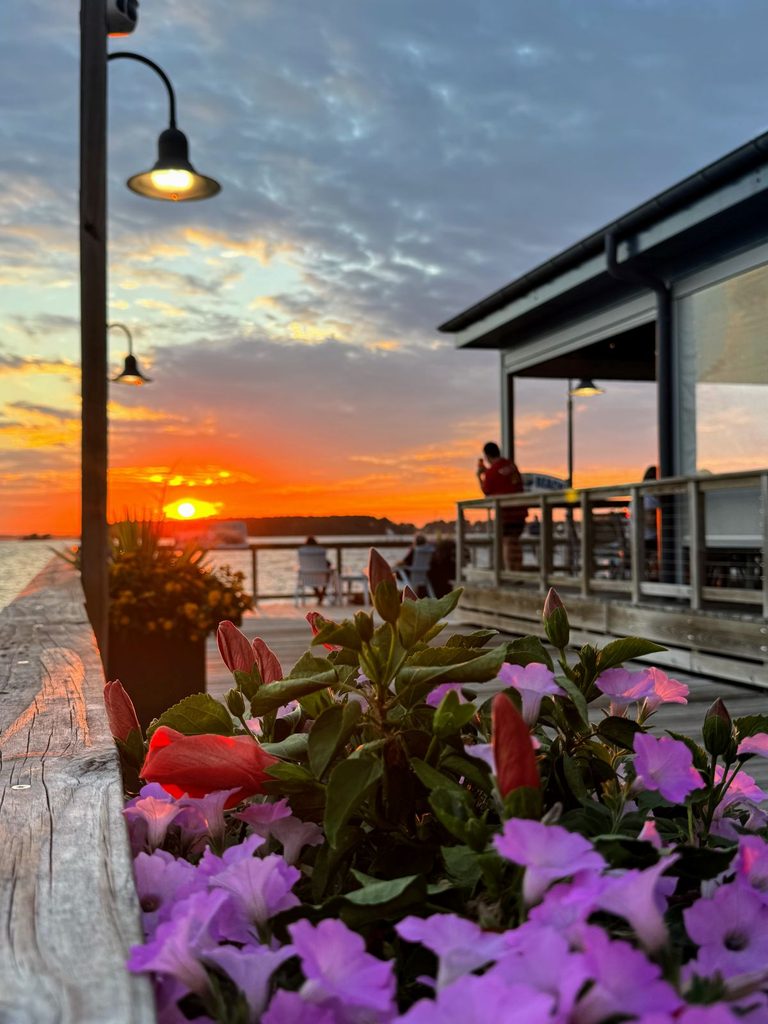 Sunset at Dewey Beach, a great place to catch dinner and enjoy the view, with flowers in the foreground.