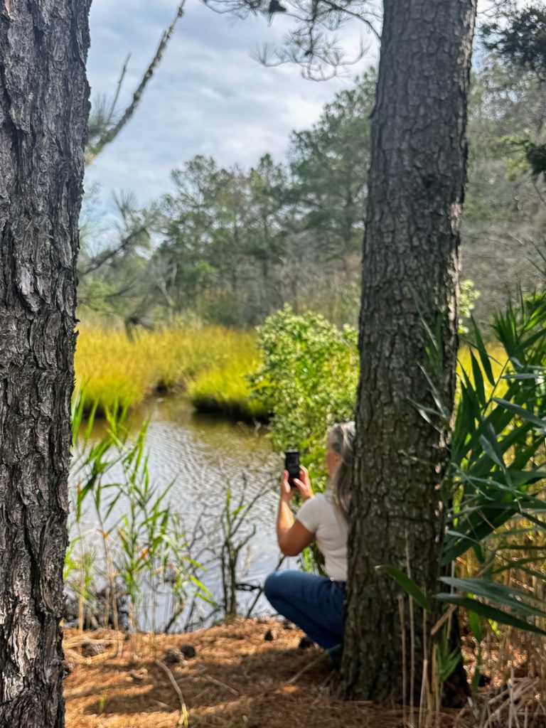 Person taking photos of the scenery at Cape Henlopen State Park.